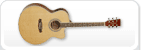 Akustiska gitarrer