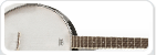 Banjo Strängar