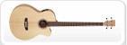 Basgitarrer